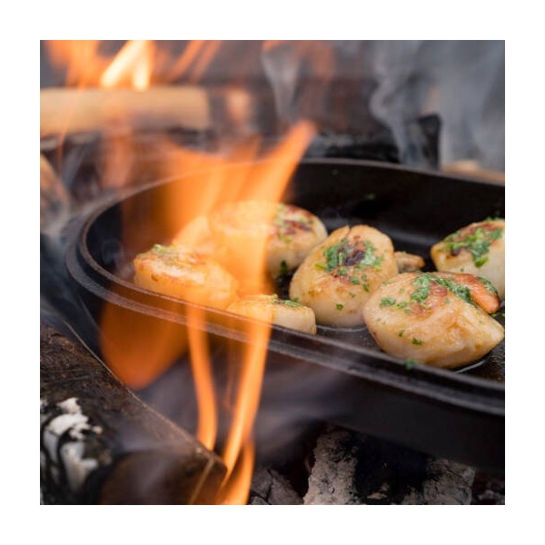 ooncastironsizzler-2